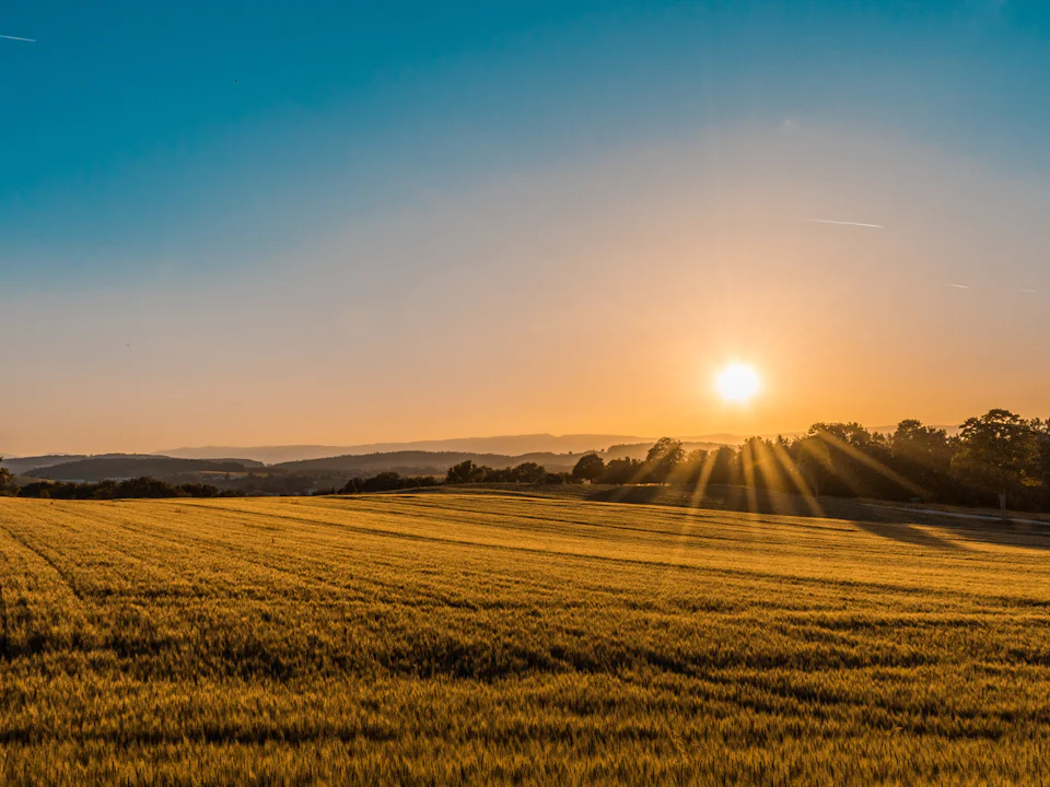Open farmland at sunset, the sun low over a distant treeline