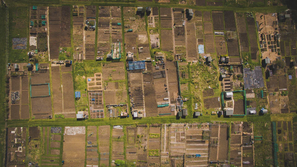 Cultivated plots divided in a grid, seen from directly overhead